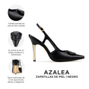 Infografía Azalea negro - detalles y medidas