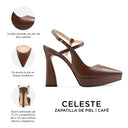 Infografía Celeste café - detalles y medidas