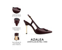 Infografía Azalea vino - detalles y medidas